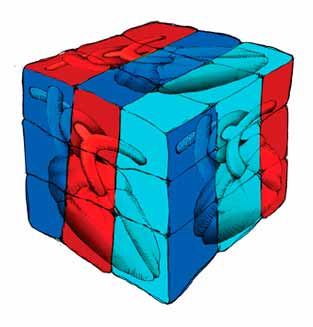 Resiliencia y enfermedad